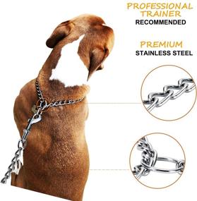 img 1 attached to 🐶 JuWow Chain Dog Training Choke Collar: Adjustable Stainless Steel Slip Collar for Small, Medium & Large Dogs – Durable, Weather Proof & Tarnish Resistant Metal Chain – Pack of 1 (20 x 0.98 Inch)