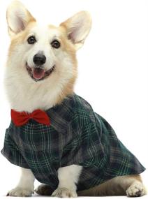 img 4 attached to 🐶 Green Plaid Cotton Dog Shirts with Wedding Bowtie - Fitwarm Polo Pet Apparel for Small Cats and Dogs