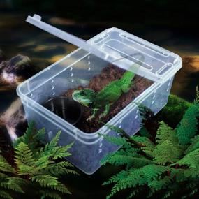 img 3 attached to POPETPOP Breeding Reptile Turtle Enclosure Plastic Container Reptiles & Amphibians