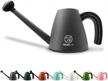 2.0l gray whalelife watering can - long spout, detachable shower spray head for indoor/outdoor plants & garden flowers logo