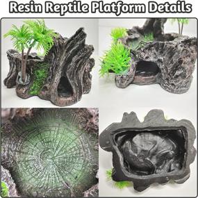 img 2 attached to Enhance Your Reptile Habitat with PINVNBY Resin Reptile Platform: Life-like Tree Trunk Decor, Food & Water Dish for Lizards, Bearded Dragons, Tree Frogs, and Snakes