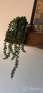 img 1 attached to FUNARTY 2Pcs Faux Plants Indoor — Artificial String Of Pearls Plant In Black Pots, Realistic Green Fake Hanging Plants For Shelf Decor Desk Home Garden Decorations review by Miguel Yurco