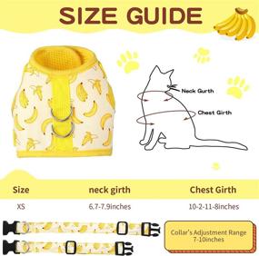 img 1 attached to 🍌 Small Size Cat Harness and Leash Set - Escape Proof Pet Vest for Outdoor Training and Walking - Strawberry & Banana Design