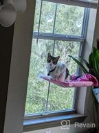 img 1 attached to Give Your Kitty A Comfy Spot With Noyal Cat Resting Seat Perch Window Hammock - Holds Up To 30Lbs! review by Shawn Mcfee