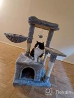 картинка 1 прикреплена к отзыву Deluxe Cat Tree Condo With Scratching Post, Plush Perch And Cozy Basket - Perfect For Your Kitten'S Comfort And Playtime! от Jason Rodman