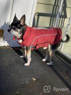 img 1 attached to Cozy And Waterproof ThinkPet Dog Winter Coats - Reversible, Windproof, And Reflective Jacket For Small, Medium, And Large Dogs With Thick Padded Warmth review by Amy Mears