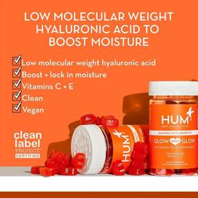 img 1 attached to HUM Glow Sweet Glow Vegan Beauty Gummies - Glowing Skin Gummies With Hyaluronic Acid, Vitamin C + Vitamin E Oil For Hydrated Skin - Collagen Gummies For Lasting Plump & Glowing Skin (60 Gummies)