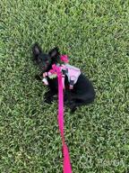 img 1 attached to 🐕 Taglory Nylon Dog Leash 6ft: Stylish and Safe Leash for Medium to Large Dogs - Perfect for Walking and Training review by Chris Beals