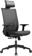 maximize comfort and productivity with our ergonomic mesh office chair: complete with lumbar support, adjustable armrests and headrest logo
