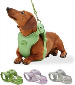 img 4 attached to 🐾 ARRR No-Pull Dog Training Harness for Medium and Small-Sized Dogs with Front Leash Clip, Soft Padded Vest, Reflective Design, Easy Control Handle Leash, Escape-Proof (Opal Green, L)