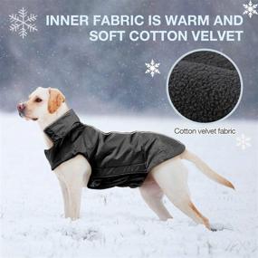 img 3 attached to 🐶 Ultimate Protection for Medium to Large Dogs with Waterproof Dog Raincoat and Winter Dog Coat