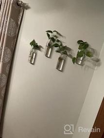 img 6 attached to Large Cylinder Kingbuy Glass Plant Propagation Station Wall Hanging Planter For Home Decor - 2 Pack