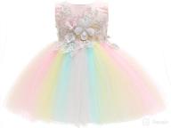 weileenice baby girls costume: rainbow tulle tutu dress with 3d embroidery & beading logo
