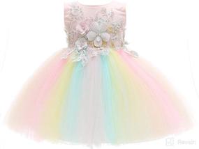 img 4 attached to Weileenice Baby Girls Costume: Rainbow Tulle Tutu Dress with 3D Embroidery & Beading