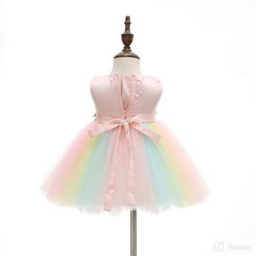 img 1 attached to Weileenice Baby Girls Costume: Rainbow Tulle Tutu Dress with 3D Embroidery & Beading