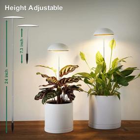 img 2 attached to Full Spectrum LED Grow Lights For Indoor Plants - POTEY 2 Heads, Height Adjustable With Auto On/Off Timer & 5 Dimmable Brightness Settings.