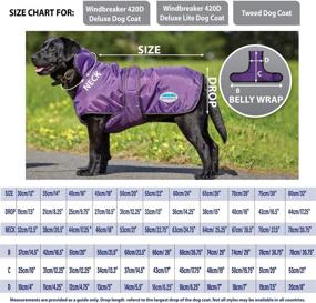 img 1 attached to 🐶 Deluxe Dog Coat - Weatherbeeta Windbreaker 420D: The Ultimate Weather Protection for Dogs