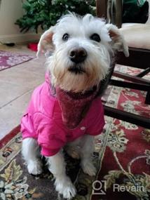 img 6 attached to Сохраняйте тепло и стильность с зимним пальто Lesypet Pink Dog для маленьких собак