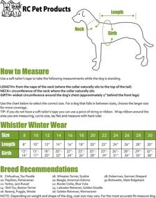 img 1 attached to RC Pet Products Whistler Winter Dogs and Apparel & Accessories