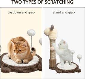 img 3 attached to Arkham Pet 19 Inch 4-in-1 Cat Scratching Post with Cat Scratcher Mat for Small Cats - Indoor Cat Scratching Posts with Self Groomer, Natural Sisal Cat Scratcher, and 3 Plush Balls