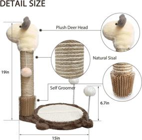 img 2 attached to Arkham Pet 19 Inch 4-in-1 Cat Scratching Post with Cat Scratcher Mat for Small Cats - Indoor Cat Scratching Posts with Self Groomer, Natural Sisal Cat Scratcher, and 3 Plush Balls