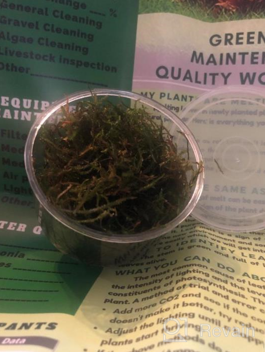 img 1 attached to Grow Beautiful Freshwater Aquarium Plants Easily With Greenpro Java Moss! review by Nick Reddy