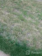 img 1 attached to Revitalize Your Lawn With Endurant Green Grass Paint – Eco-Friendly And Pet-Safe Solution For Dry Or Patchy Lawn review by Adrienne Phillips