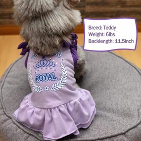 img 3 attached to 2 Pack Princess Bowtie Dog Dresses - Cute Sundresses For Small Dogs By KYEESE