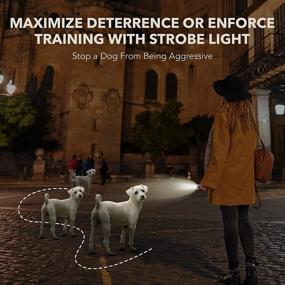 img 2 attached to 🔋 Rechargeable 2-in-1 Ultrasonic Anti Barking Device & Dog Training Tool with Barking Control, Dual Sensor, 35Ft Range, Outdoor LED Flashlight - Safe for Humans and Dogs