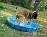 картинка 1 прикреплена к отзыву Portable Foldable Pet Swimming Pool For Dogs And Cats - Indoor/Outdoor Bathing And Ball Pit - 42"X12" Size - Patent Pending от Steve Yang