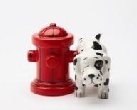 magnetic dalmatian dog fire hydrant salt & pepper shakers by pacific giftware - unique novelty gift set logo