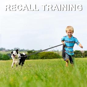 img 1 attached to Demigreat Long Leash Training 100Ft Dogs in Training & Behavior Aids