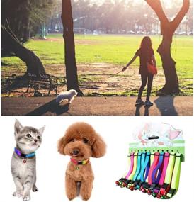 img 2 attached to Vibrant Cat ID Collar with Bell - Adjustable for Kitten, Puppy & Small Pets - Pack of 12