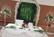 картинка 1 прикреплена к отзыву White Metal Wedding Arch With Climbing Plants Decoration, Perfect For Garden Bridal Parties - Adorox 7.5Ft Arbor Set от Ali Lariosa