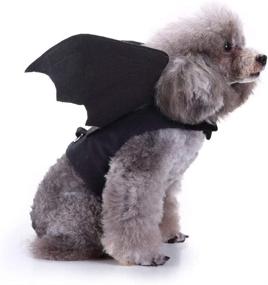img 2 attached to 🦇 Halloween Cat & Dog Costume: BWOGUE Pet Bat Wings Apparel for a Spook-tacular Party!