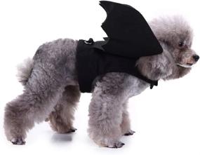 img 1 attached to 🦇 Halloween Cat & Dog Costume: BWOGUE Pet Bat Wings Apparel for a Spook-tacular Party!