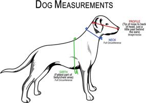 img 2 attached to 🐶 Muffin’s Halo: The Ultimate Guide and Device for Blind Dogs – Promoting Confidence and Accident Avoidance – A Must-Have Accessory to Enhance Navigation for Over 30,000 Blind Dogs! (M)