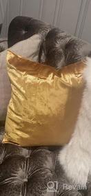 img 8 attached to 2 Pack Of Soft Cushion Covers - GIGIZAZA'S Gold Velvet Decorative Throw Pillow Cover Set For Sofa Bed