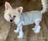 картинка 1 прикреплена к отзыву MIGOHI Dog Surgery Recovery Suit - Reusable Pet Spay Surgical Shirt For Abdominal Wounds, Professional Male Female Alternative To Cone E-Collar от John Fenton