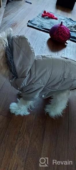 img 1 attached to Stay Warm & Stylish With Lesypet Pink Dog Winter Coat For Small Dogs review by Christin Williams
