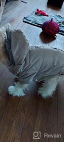 img 5 attached to Сохраняйте тепло и стильность с зимним пальто Lesypet Pink Dog для маленьких собак