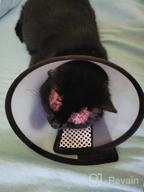 img 1 attached to Adjustable Recovery Pet Cone For Small Dogs And Large Cats - Lightweight Vivifying Elizabethan Collar To Prevent Licking Wounds After Surgery, 10.1 Inches Plastic Cone In Black Color review by Katy Costa