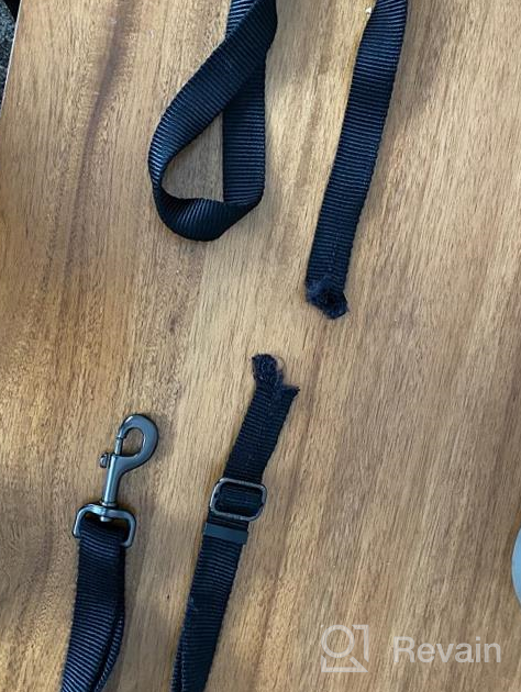 img 1 attached to Secure And Adjustable Hyhug Aviation Aluminium Leash With Soft Handle For Small Dogs - Sleet Gray review by Andrew Carrao