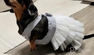 img 1 attached to 👗 QingLuo Sweet Puppy Dog Princess Dress - Pink/Purple Bow Lace Tutu Skirt - Doggie Dress for Dog/Cat (X-Small, Purple) review by Jeremy Levendusky