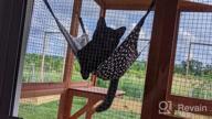img 1 attached to Comfortable And Durable Hanging Cat Hammock Bed For Furry Friends - Holds Up To 20Lbs! review by Karl Swift