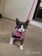 img 1 attached to Adjustable Escape Proof Cat Harness And Leash Set By PUPTECK - Breathable Soft Mesh Vest For Small And Medium Kittens, Ideal For Outdoors With Reflective Strips review by Julie Lorig