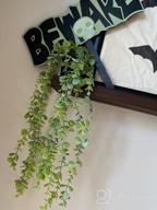 img 1 attached to Small Artificial Hanging Plants Decor With Pot - Faux Eucalyptus Greenery Vines For Indoor And Outdoor Home Décor, FUNARTY Fake Plants Set Of 3 review by Dan Tsourvakas