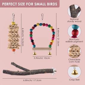img 3 attached to Wooden Bird Perch Swing Toy Set For Parrots, Conures, Canaries, Cockatiels, Lovebirds, And Small Birds - KATUMO Bird Chew Toys For Cage