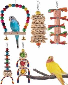 img 4 attached to Wooden Bird Perch Swing Toy Set For Parrots, Conures, Canaries, Cockatiels, Lovebirds, And Small Birds - KATUMO Bird Chew Toys For Cage