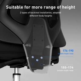 img 3 attached to Hbada E1 Ergonomic Office Chair Adjustable Backrest Height, Rotatable Lifting Lumbar Support, And High-Density Breathable Mesh Desk Chair